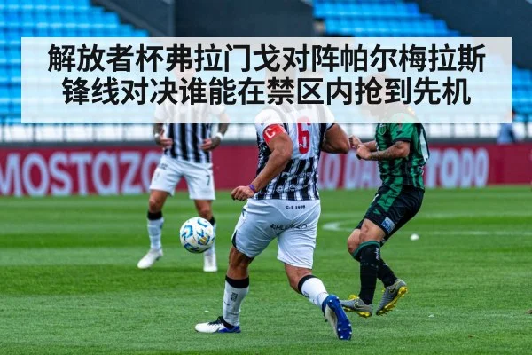 解放者杯弗拉门戈对阵帕尔梅拉斯锋线对决谁能在禁区内抢到先机